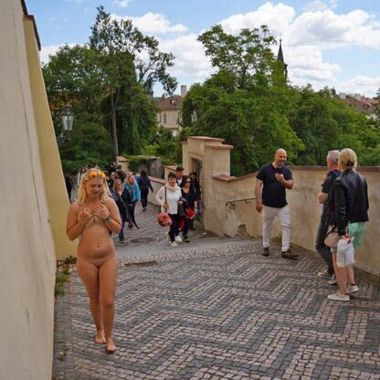Nude In Public Movie 129 - Image 2